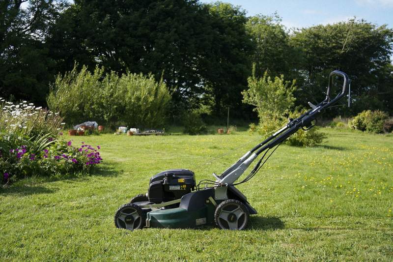 A lawn mower on a freshly cut lawn bordered by shrubs and flowering plants.