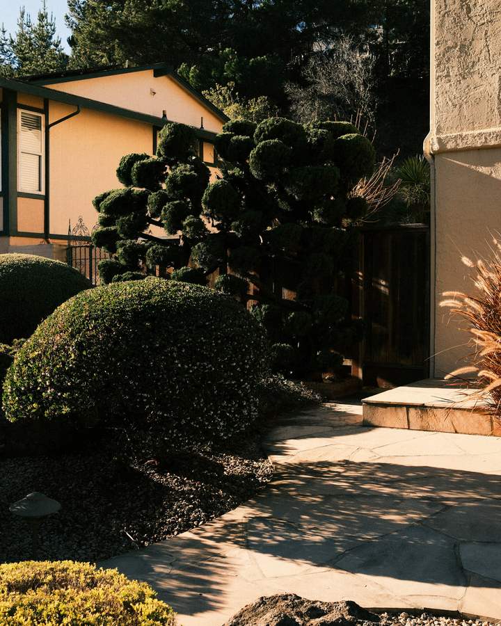 Neatly sculpted shrubs and trees along a garden path.